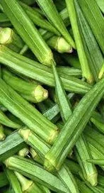 బెండకాయ తింటే షుగర్‌ కంట్రోల్ అవుతుందా ? 